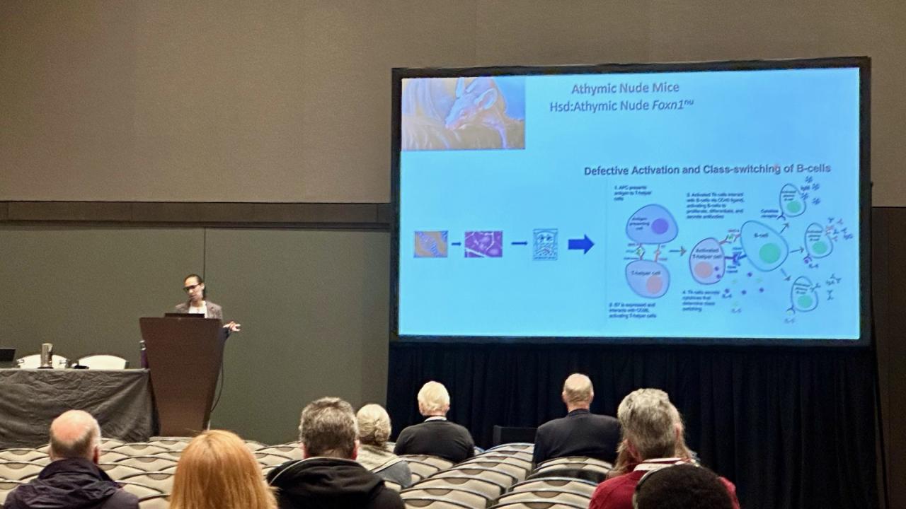 Dr. Marietta Barro shown speaking to a crowd along with her presentation.