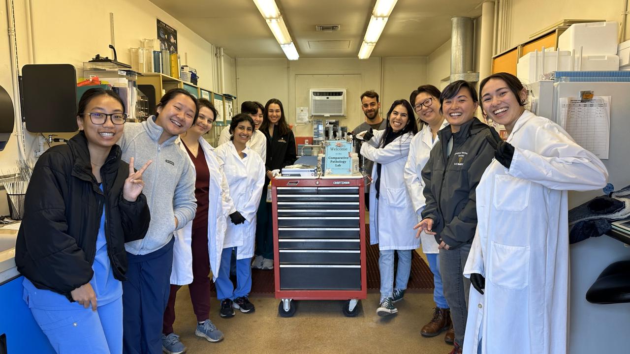 LARC members and CPL staff posing in the necropsy room looking at the camera